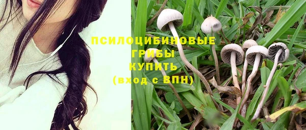 кокаин перу Вяземский