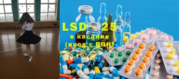 гидра Вязьма